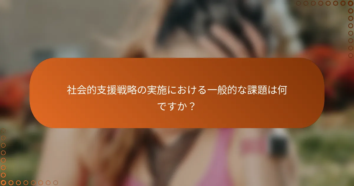 社会的支援戦略の実施における一般的な課題は何ですか?
